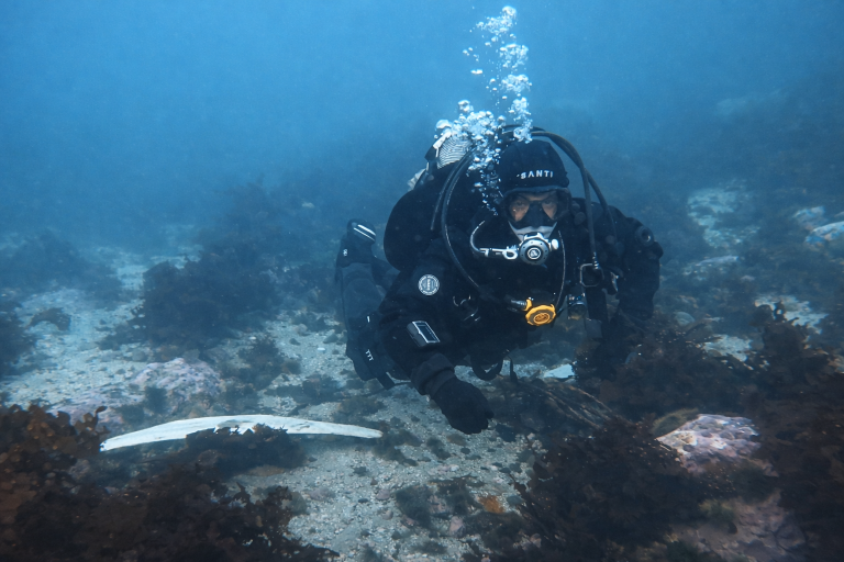 Polar diver in a drysuit swimming above a humpback whale rib bone in cold Arctic waters.